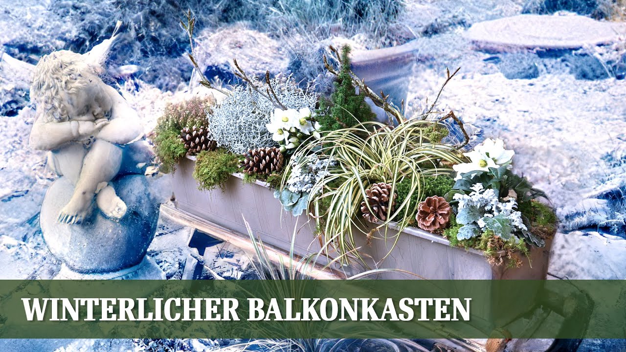 Balkonkasten Bepflanzung für den Winter
