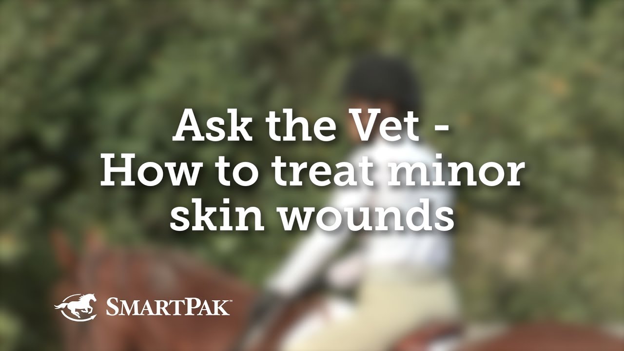 Ask the Vet - How to treat minor skin wounds in horses