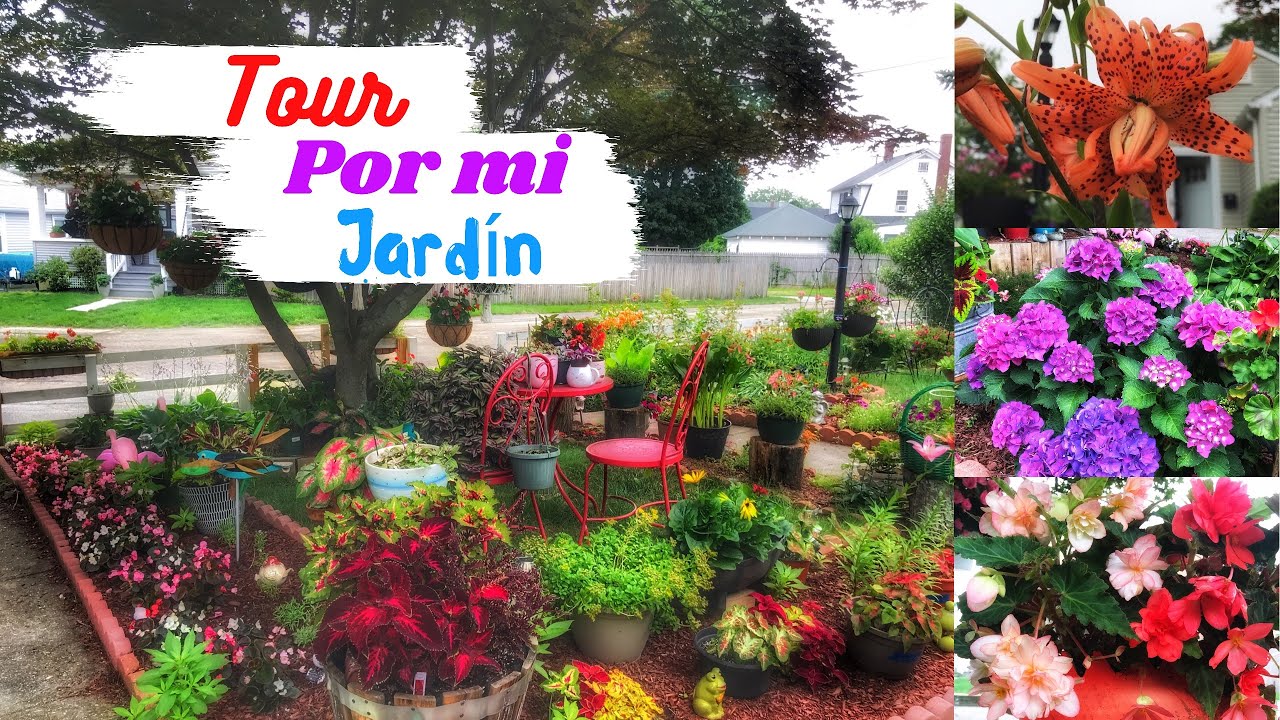 TOUR por MI JARDÍN 2021 (segunda parte) | recorrido y actualización por MI JARDÍN