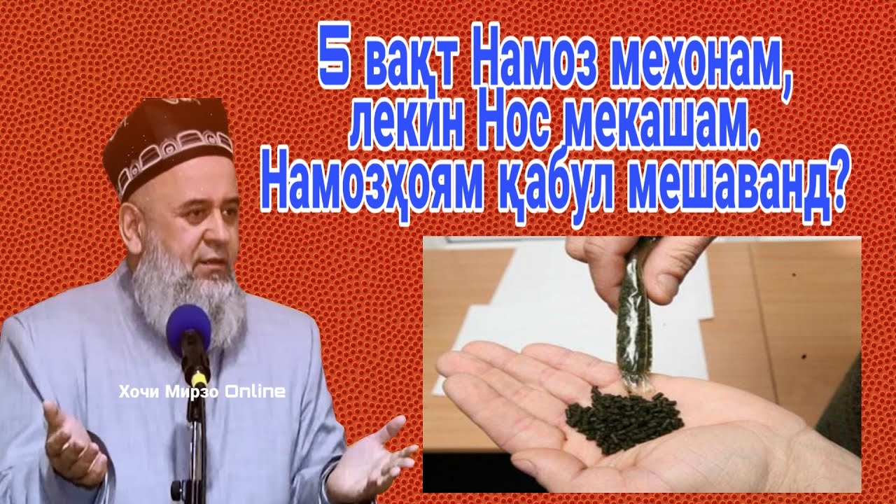Тамошо кунед. Намозхоямро мехонам вале нос мекашам. Хочи мирзо саволу чавоб