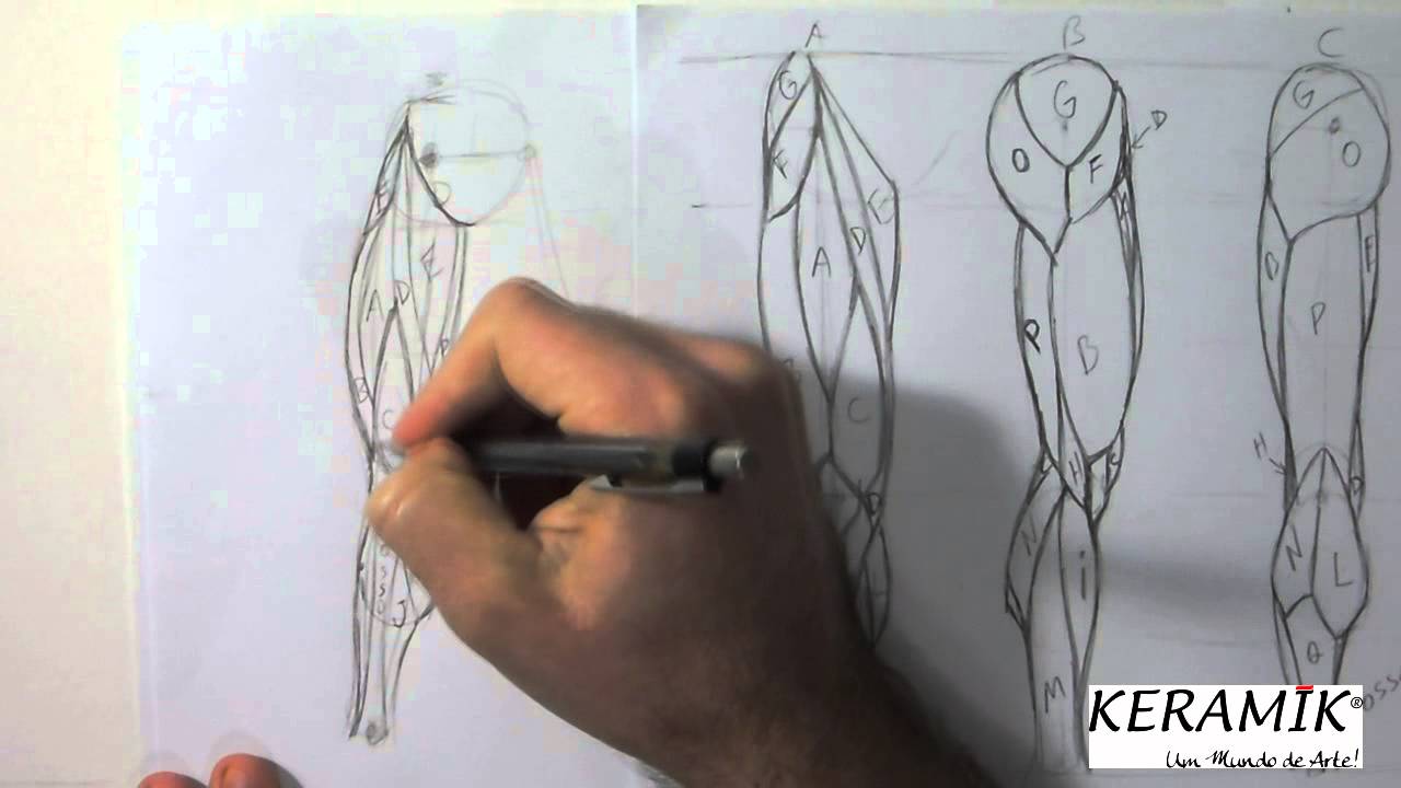 Como desenhar: Praticando Anatomia - Movimento 1 Parte Final