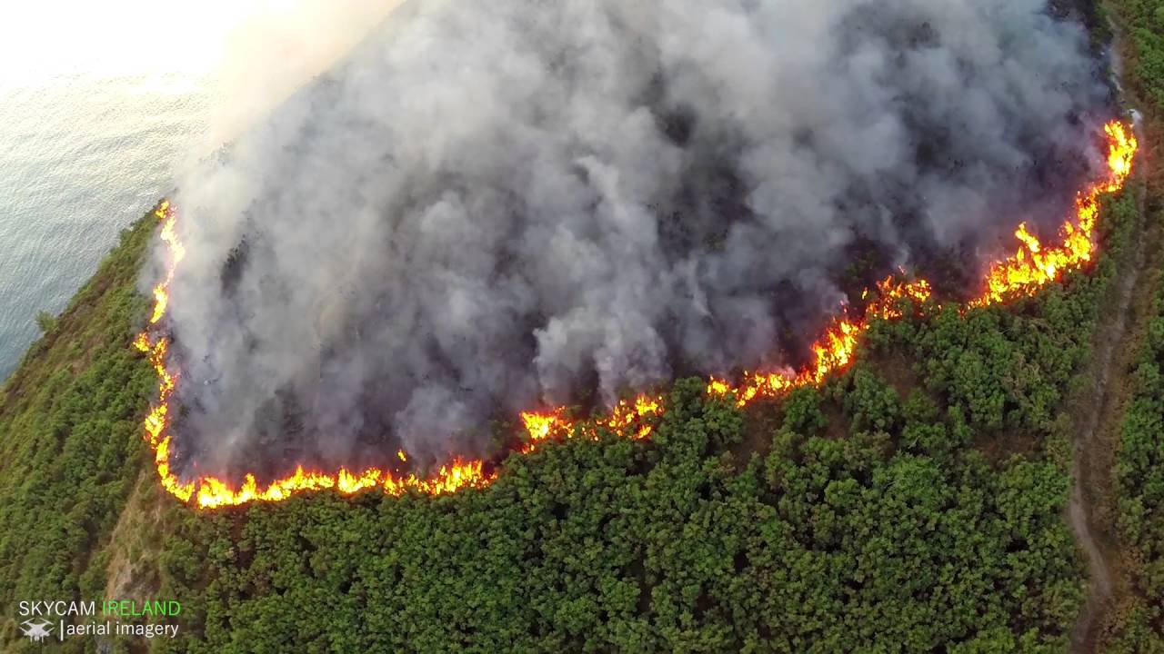 Bray Head Gorse Fire