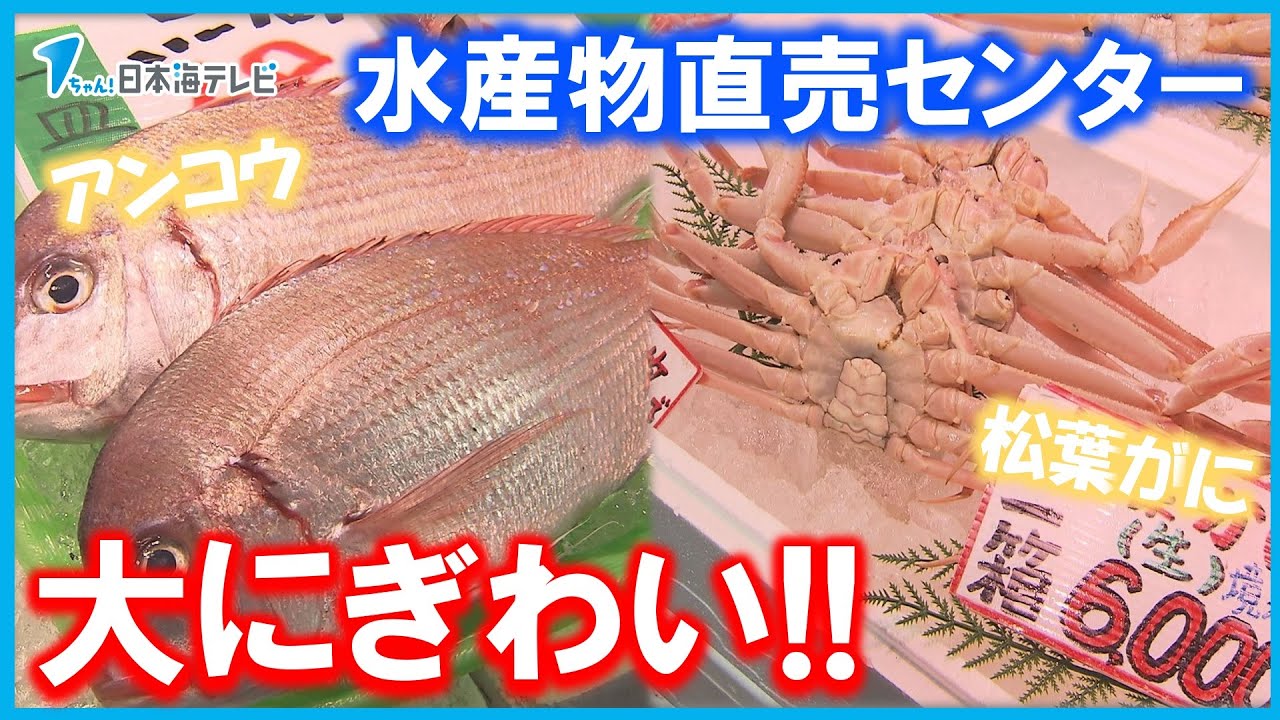 【想像を超える来場者】年の瀬を迎え　水産物直売センターにぎわう　鳥取県境港市
