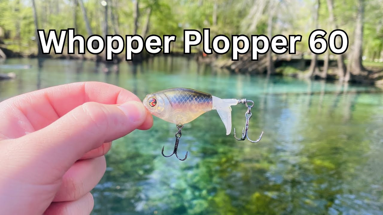 Безумная ловля окуня на приманку Whopper Plopper 60!!