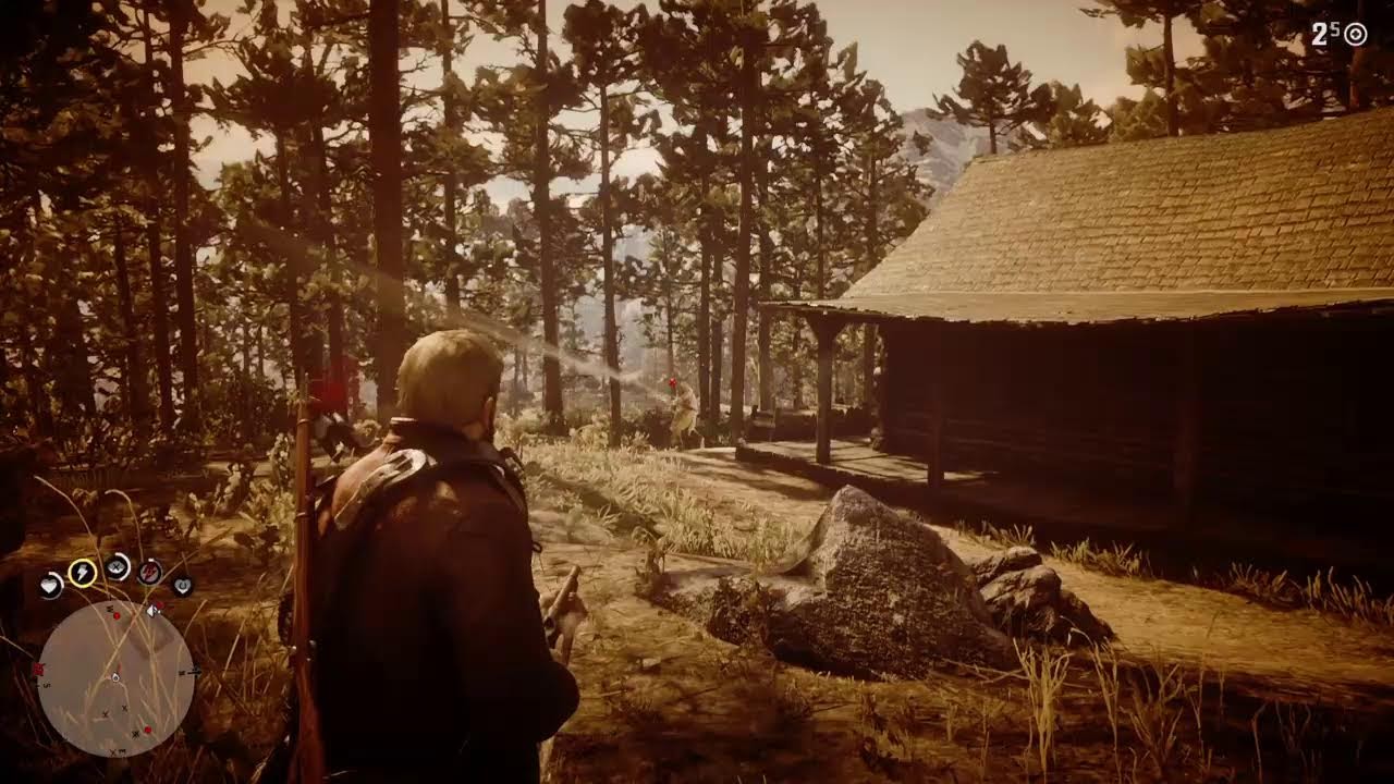 RDR2 New Year's Eve stream