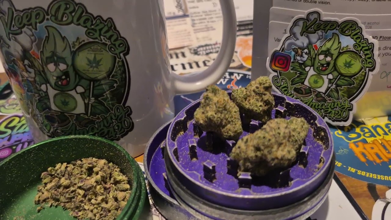 Common Roots WZ T28 Watermelon Zkittlez🍉🌈 Medical Cannabis Flower (18+)