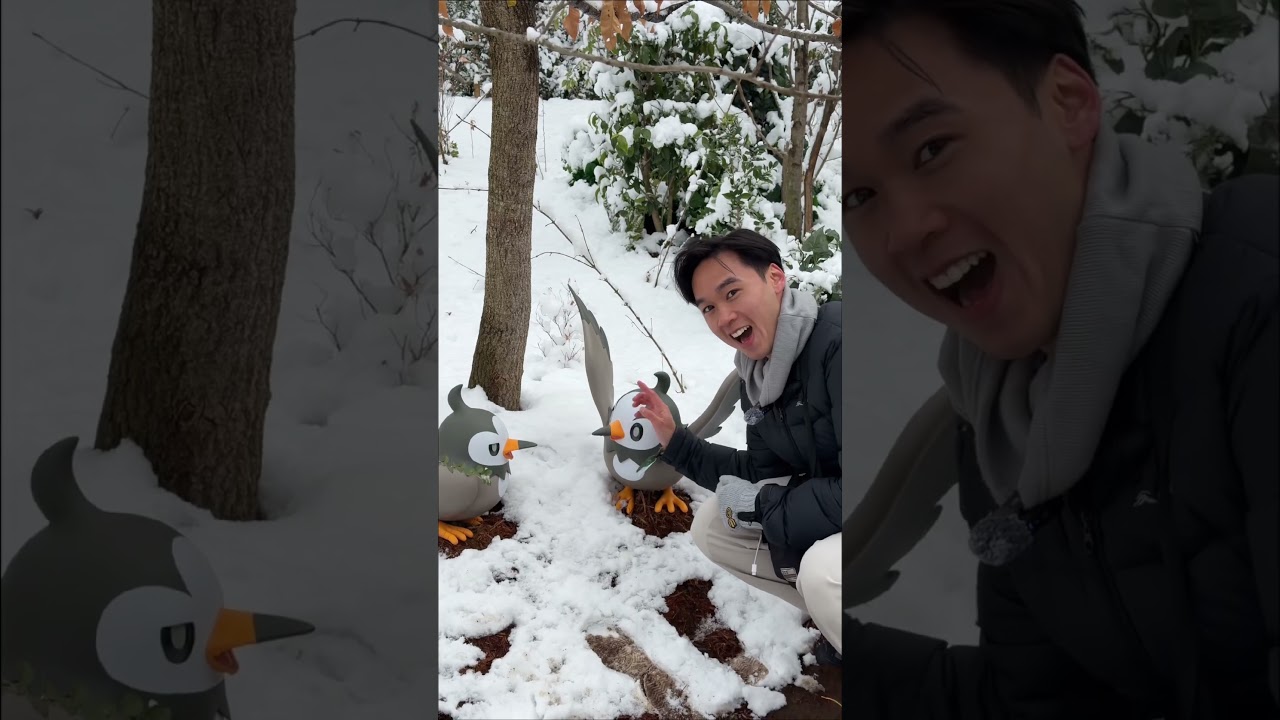 Snow at PokePark Kanto in Tokyo, Japan #pokemon #pokepark