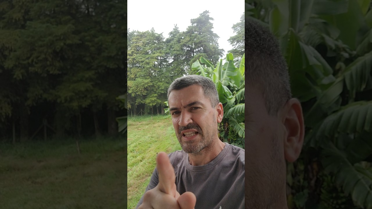 Maior Perigo de Morar em Ch&aacute;cara ou S&iacute;tio e N&atilde;o &eacute; Cobra