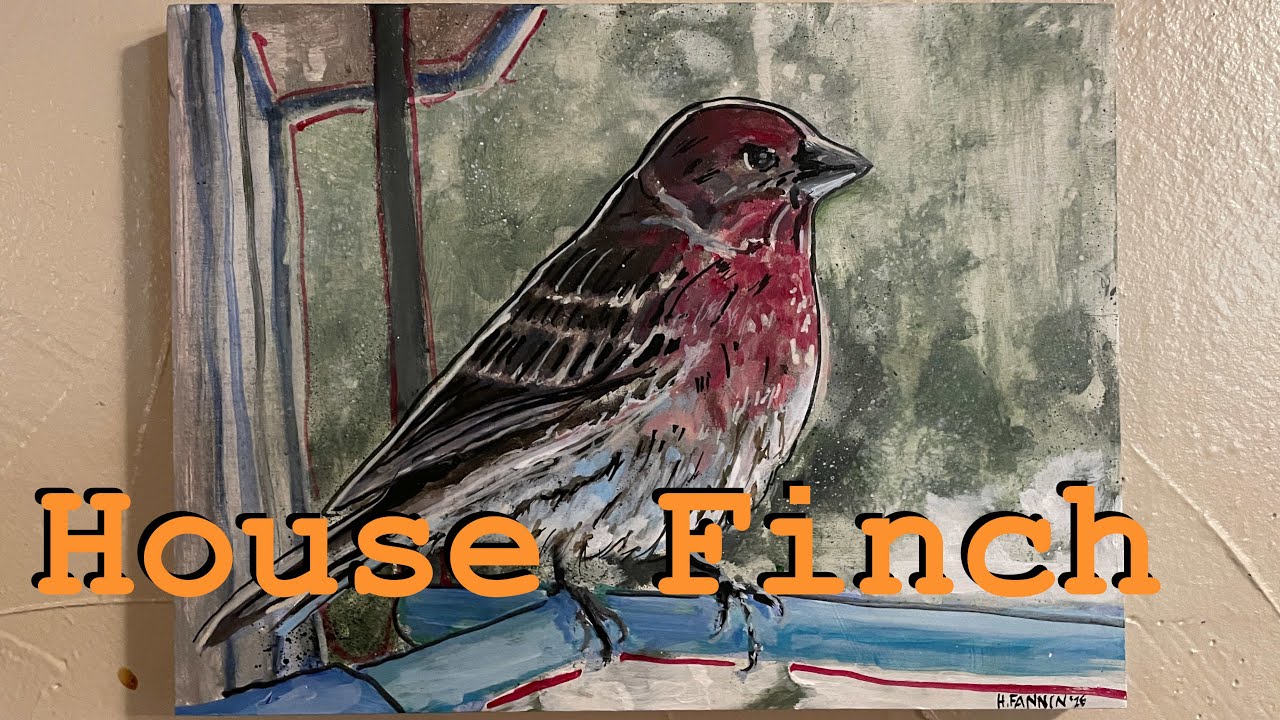 Original Painting - House Finch