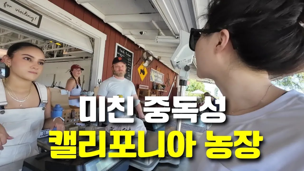 도파민 폭발, 미국 과일 농장에서의 하루