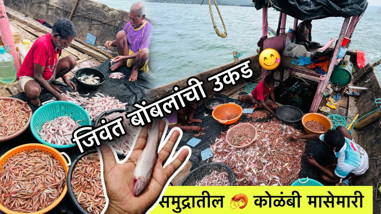 पूर्ण दिवस कोळंबी मासेमारी आणि बोटीवरच्या ताज्या माश्यांचे जेवण😋 Indian ￼deep sea prawn Fishing .