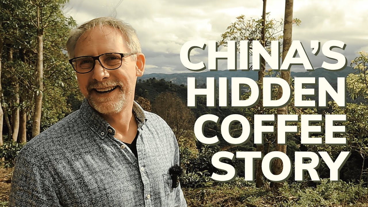 Why This Coffee from China Is Changing Lives | Coffee Commune Yunnan