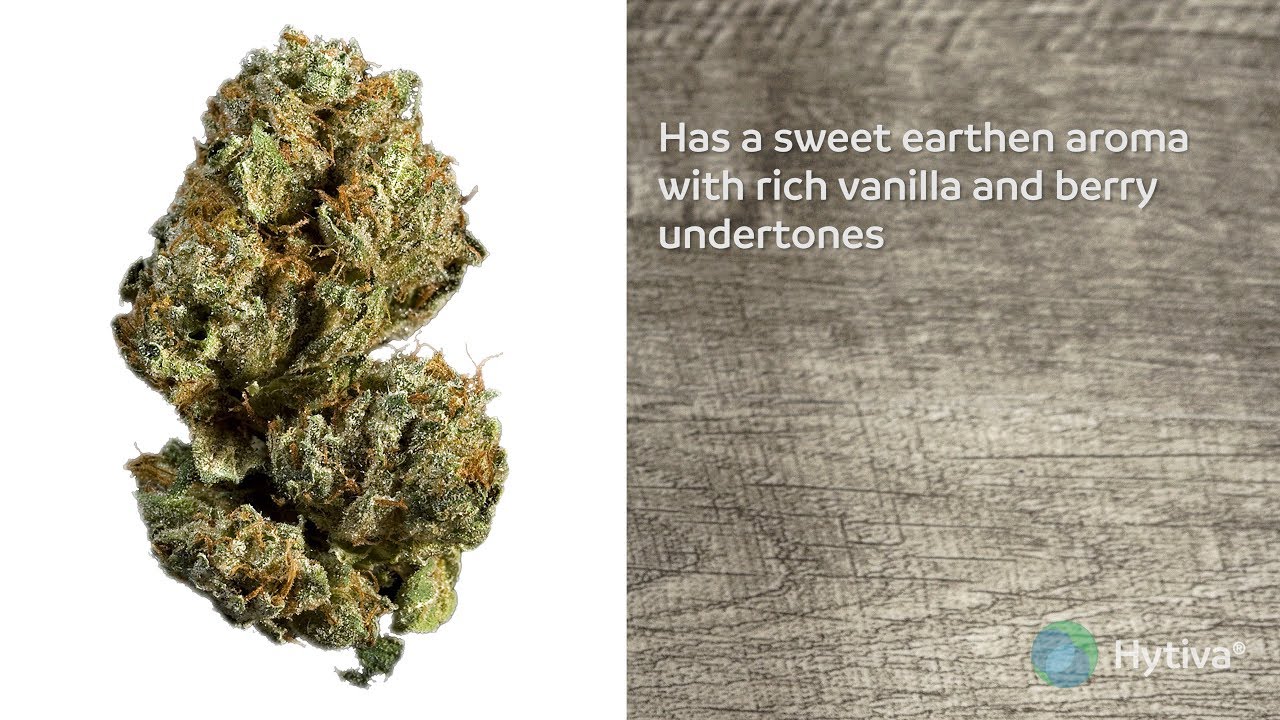 Blueberry Muffin Strain Review