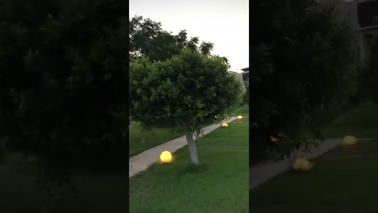 Lykia World Antalya Geniş Özet