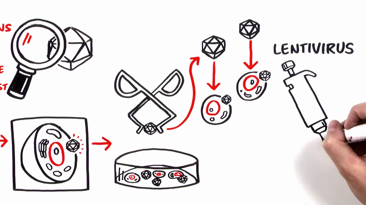 The Simplicity of Virus-Mediated Gene Delivery | Mirus Bio LLC