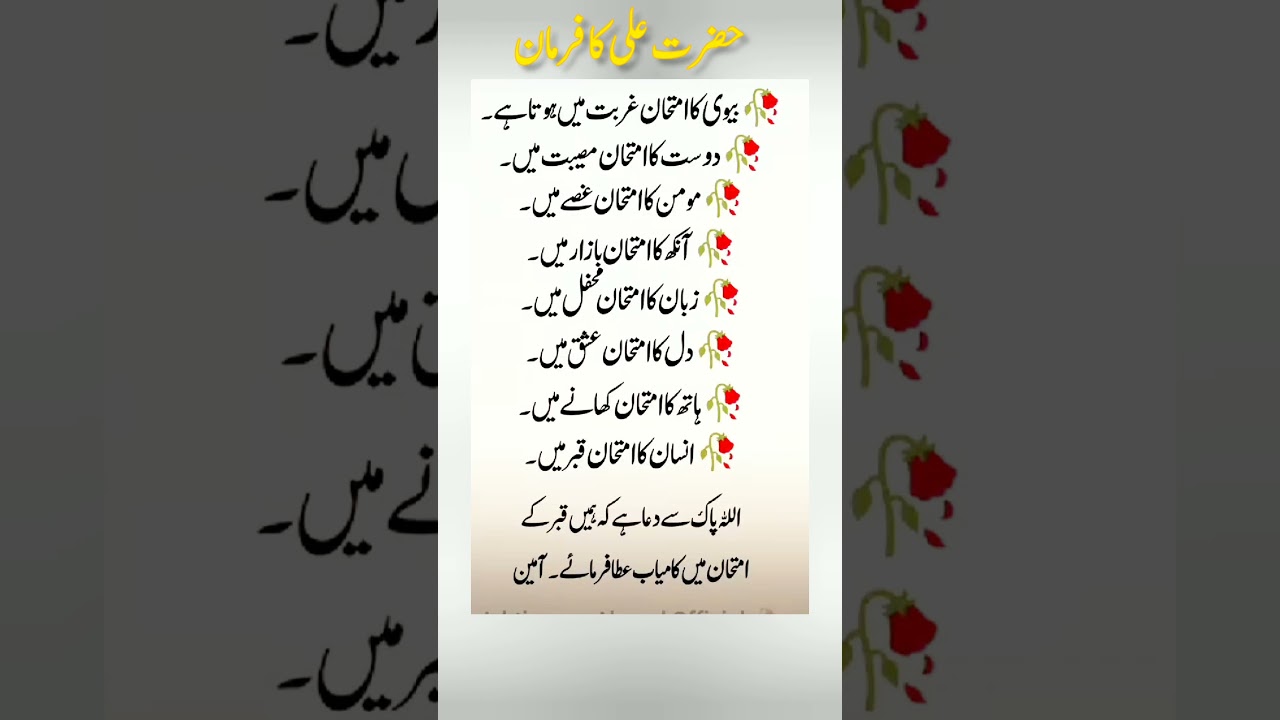 kuch sunhare Alfaaz. #love #quotes #viral #goldenwards #motivation #urdu #tranding . #yt #arabic
