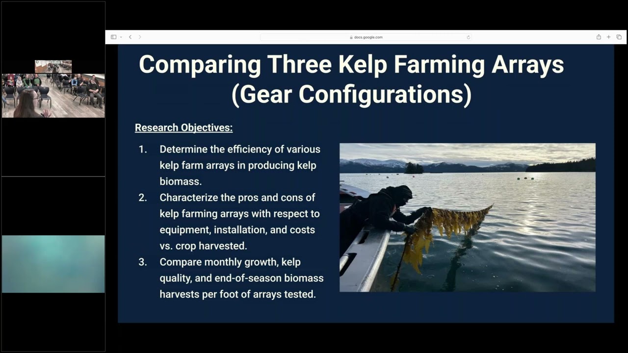 Diving into Kelp