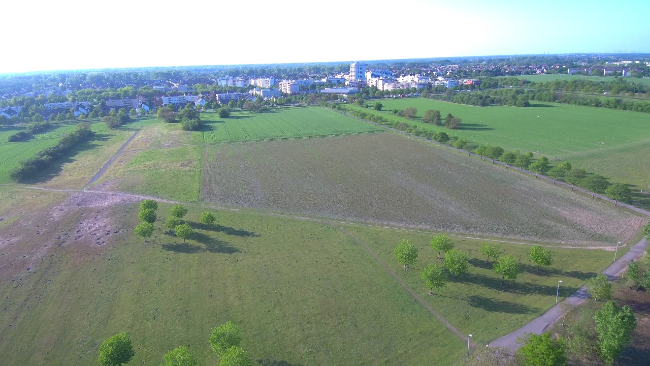 Neureut