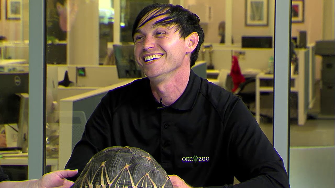 Zoo Tales: Staff members work to save tortoises in Madagascar
