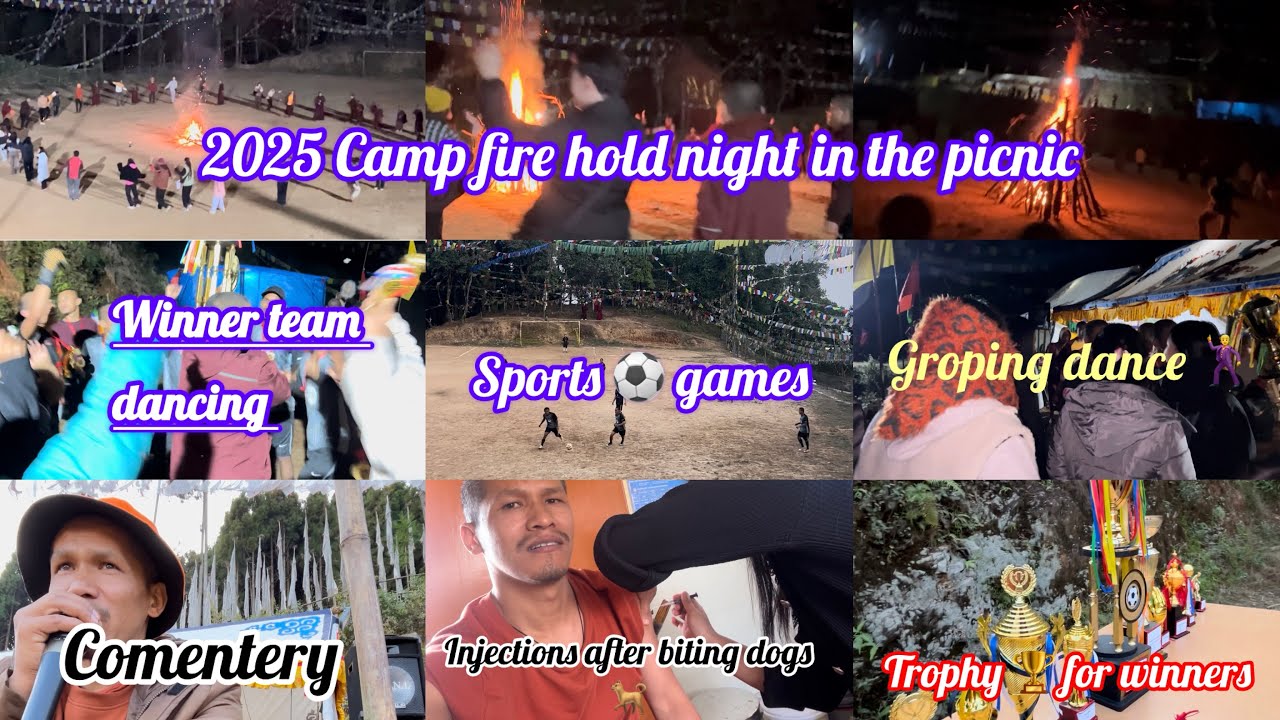 A dog bit me in 2025/so we have enjoyed the picnic full day full night with dancing singing and game