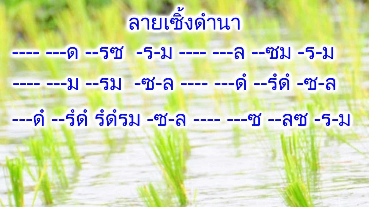 เซิ้งดำนามีโน้ตพร้อมฝึก(ซาวด์)