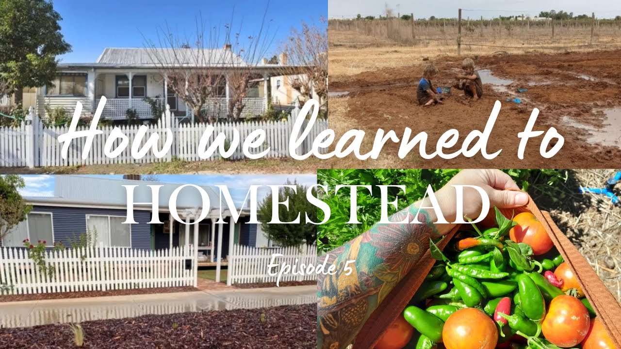Homesteading Australia | Renting to debt free LIVING