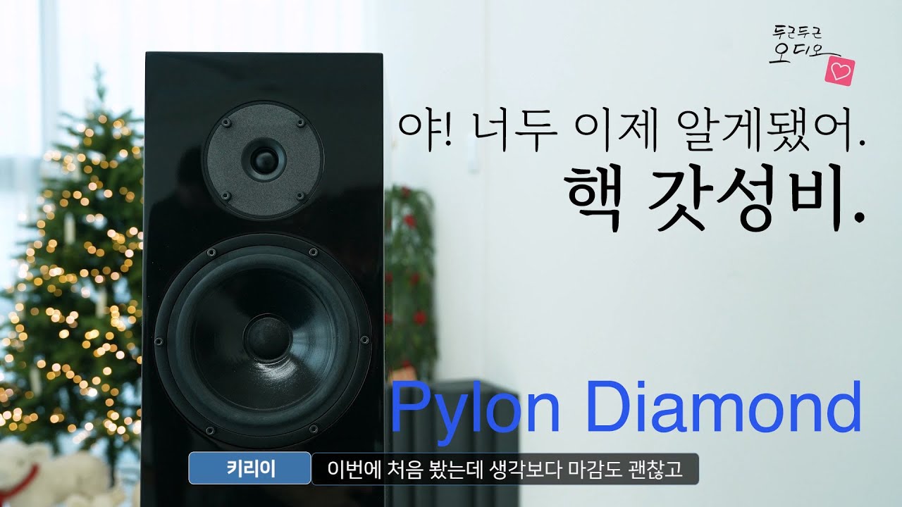 두런두런_리뷰 : 야! 너도 이제 알게됐어. 핵 갓성비.  - 파일론 Pylon Diamond 스피커 -