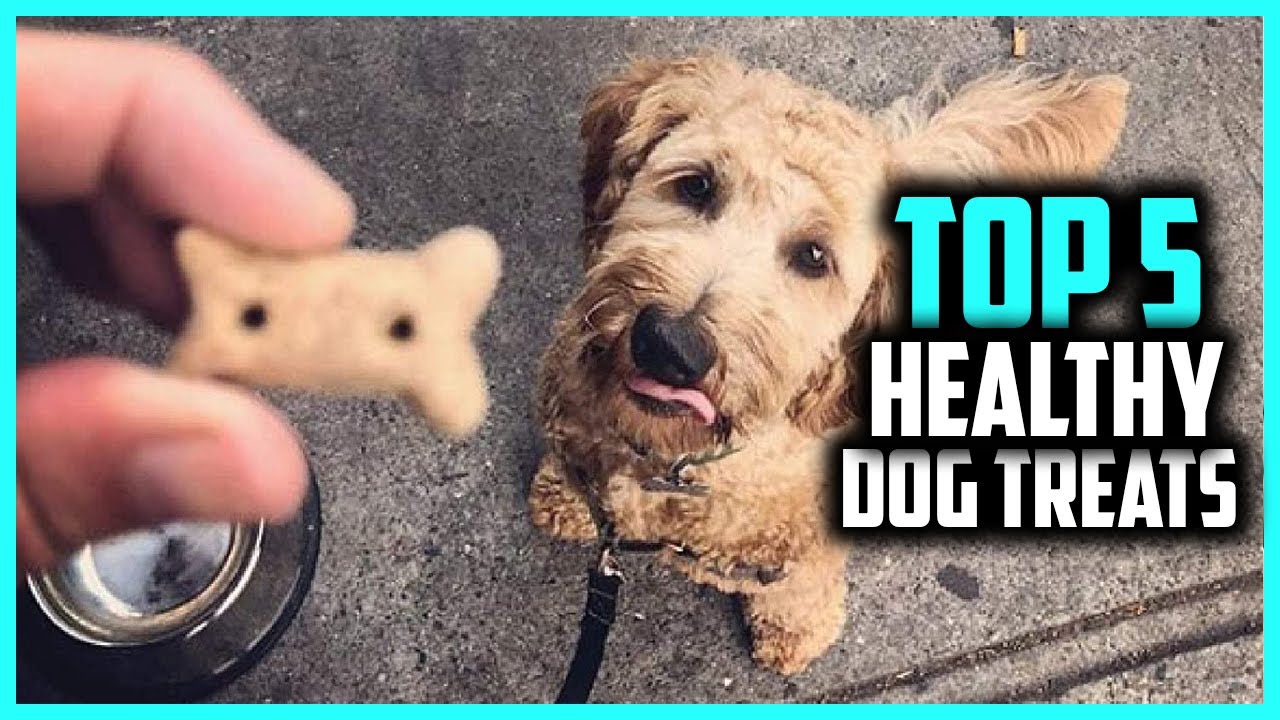 ✅ Top 5 Best Healthy Dog Treats