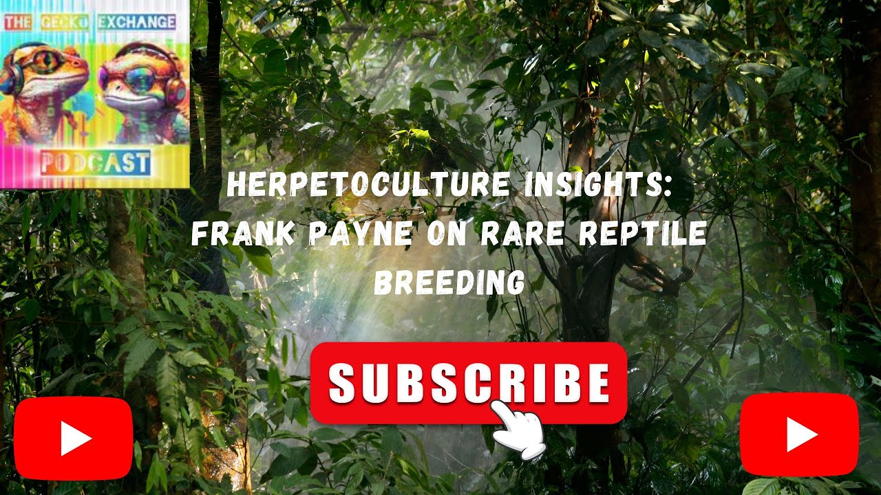 Herpetoculture Insights: Frank Payne on Rare Reptile Breeding
