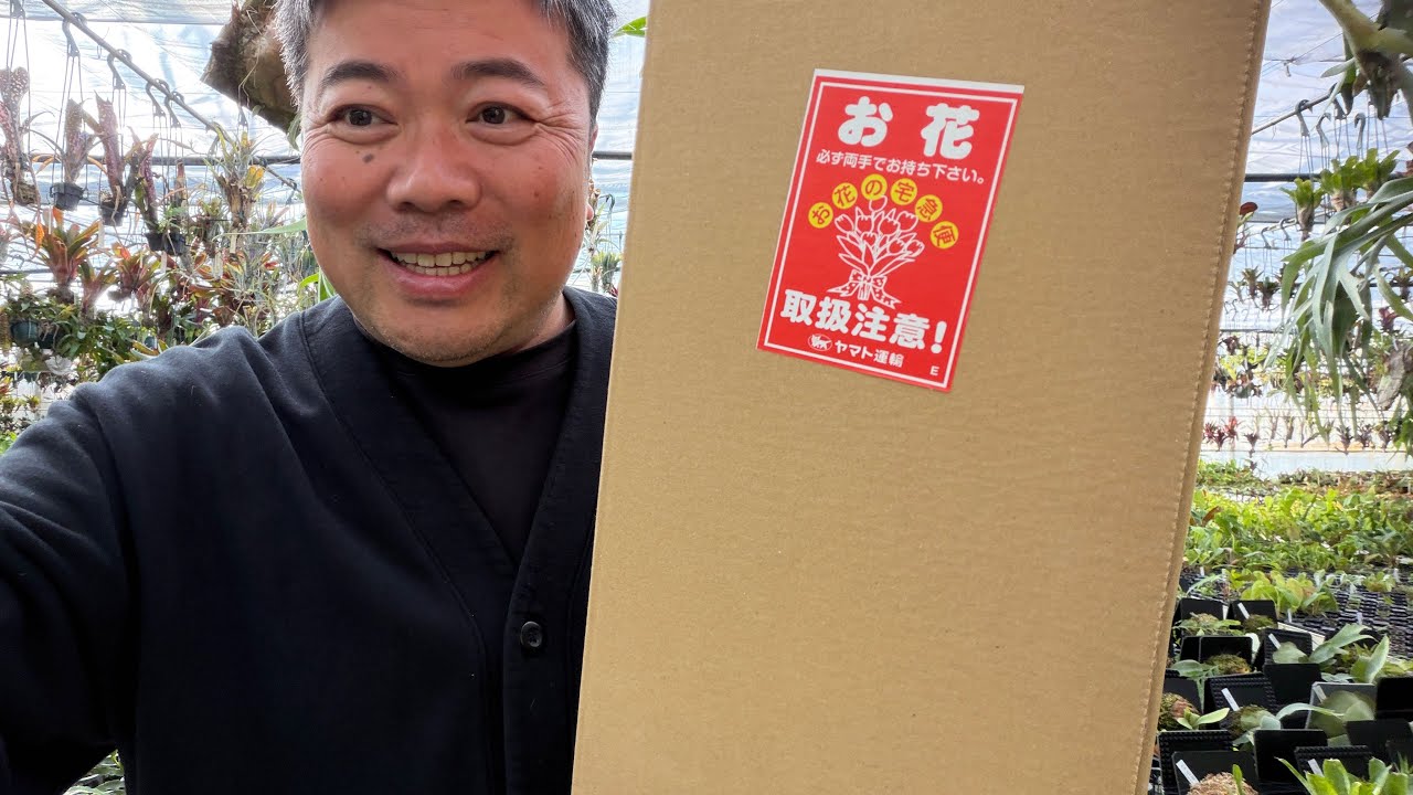 春本番‼️物々交換した植物を紹介❗️