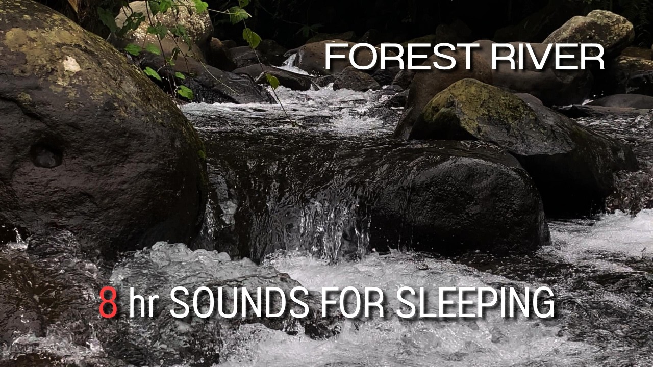 Forest River - Stream Sounds for Sleeping - No Birds - Relaxing Nature Video - Water Flowing 8 Hour
