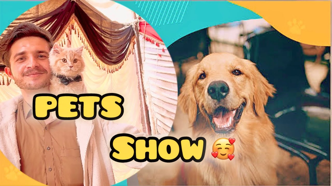 Pets Show😻| islamia college Peshawar ❤️ | Pets competition and Food stalls 🥰