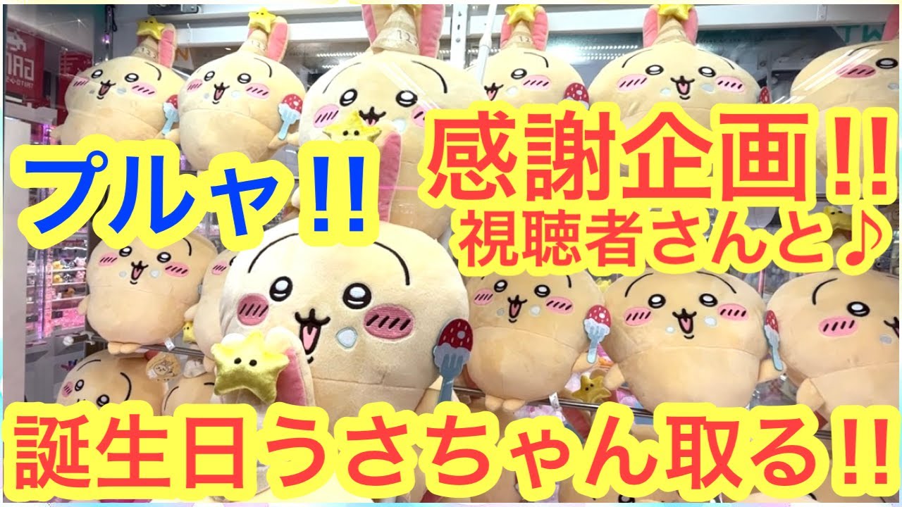 【ちいかわ】いつもお世話になっている視聴者さんへ！！うさぎ誕生日BIGぬいぐるみをプレゼントする感謝企画！！