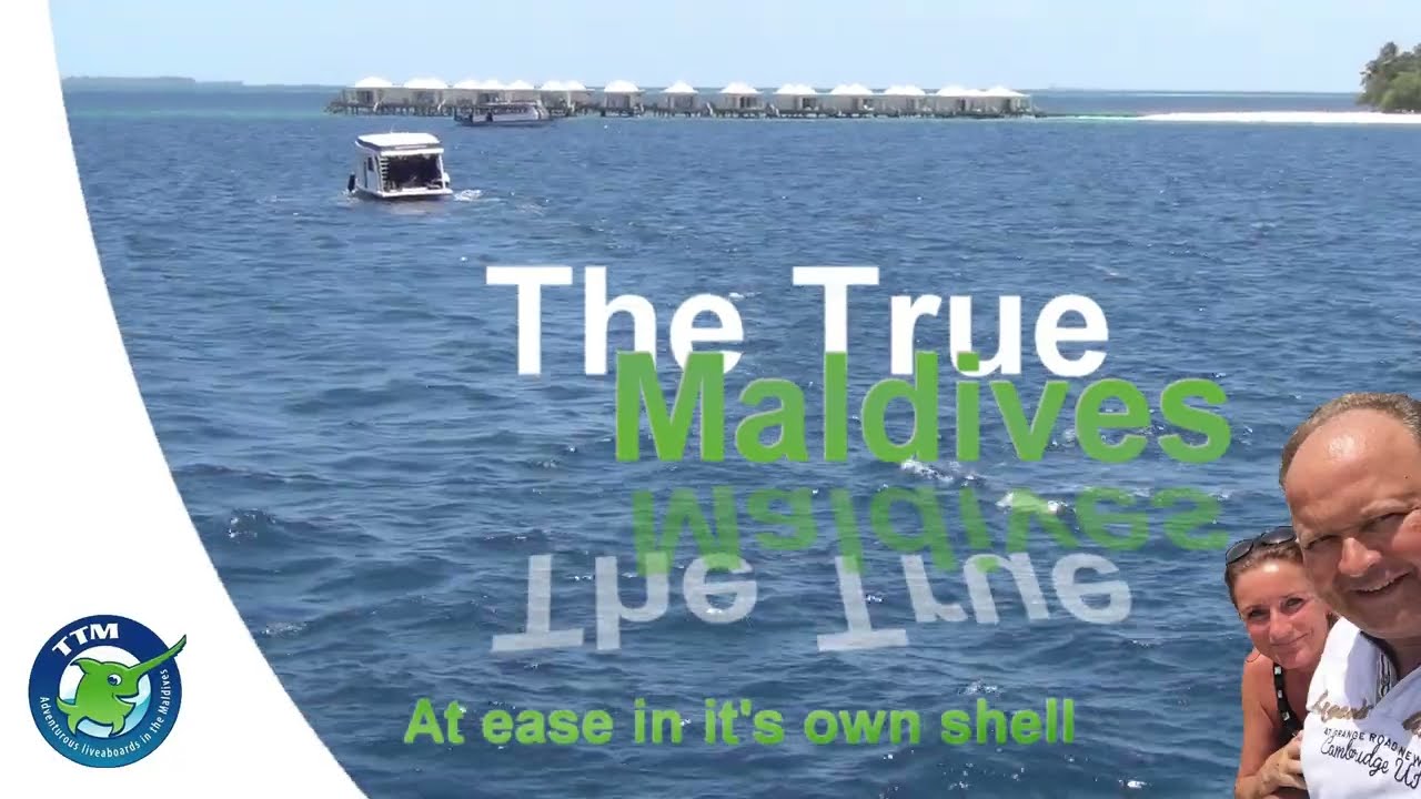 The True Maldives, Turtle encounter,
