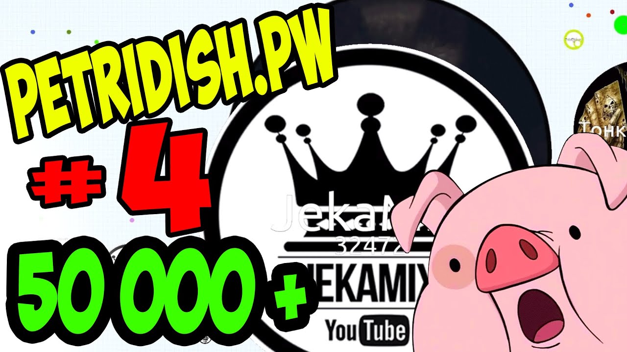 PETRIDISH.PW | # 4 | РЕКОРД 50 000 +