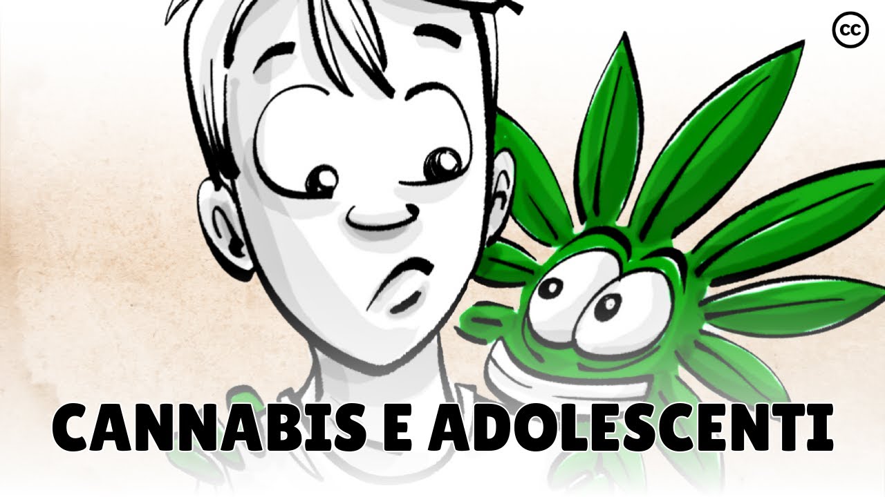 Gli effetti della cannabis sul cervello degli adolescenti