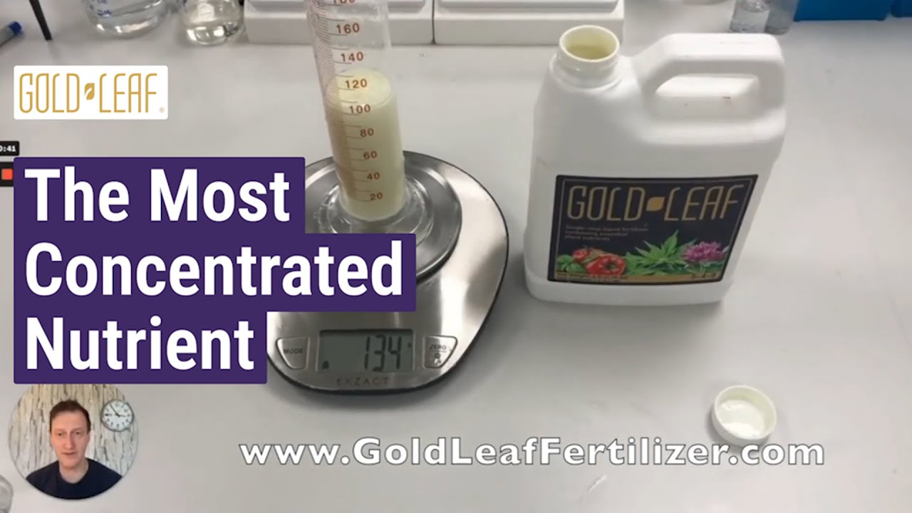 Gold Leaf Fertilizer: The Most Concentrated Nutrient for Maximum Plant Growth