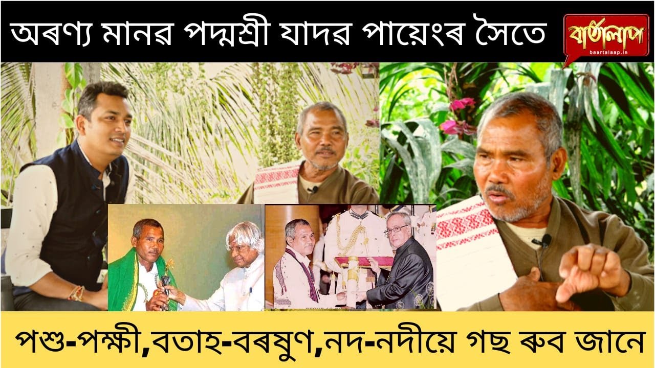 ডুবাইত বগৰী গছ ৰুব যাদৱ পায়েঙে... Digital Forest Dubai