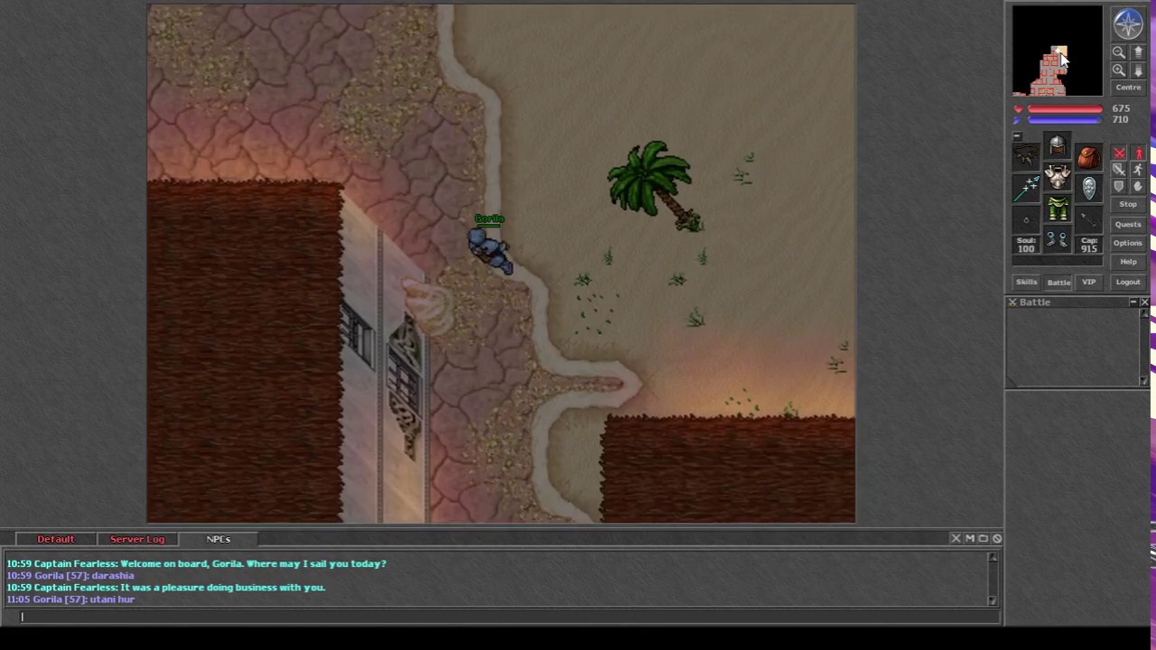 Tibia- Darashia Minotaur tower: Stealth Ring, Protection Amulet