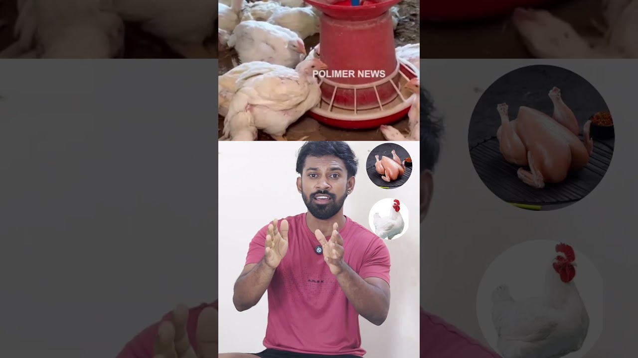 Chicken Banned In Tamil Nadu 😎😟