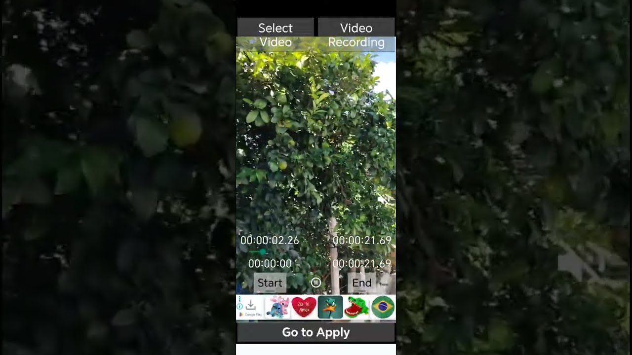 IRENE VIDA REAL está ao vivo!