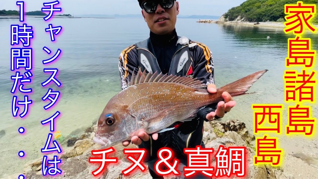 【家島　チヌ】ZEBRAメンバーと行く家島チヌ釣り