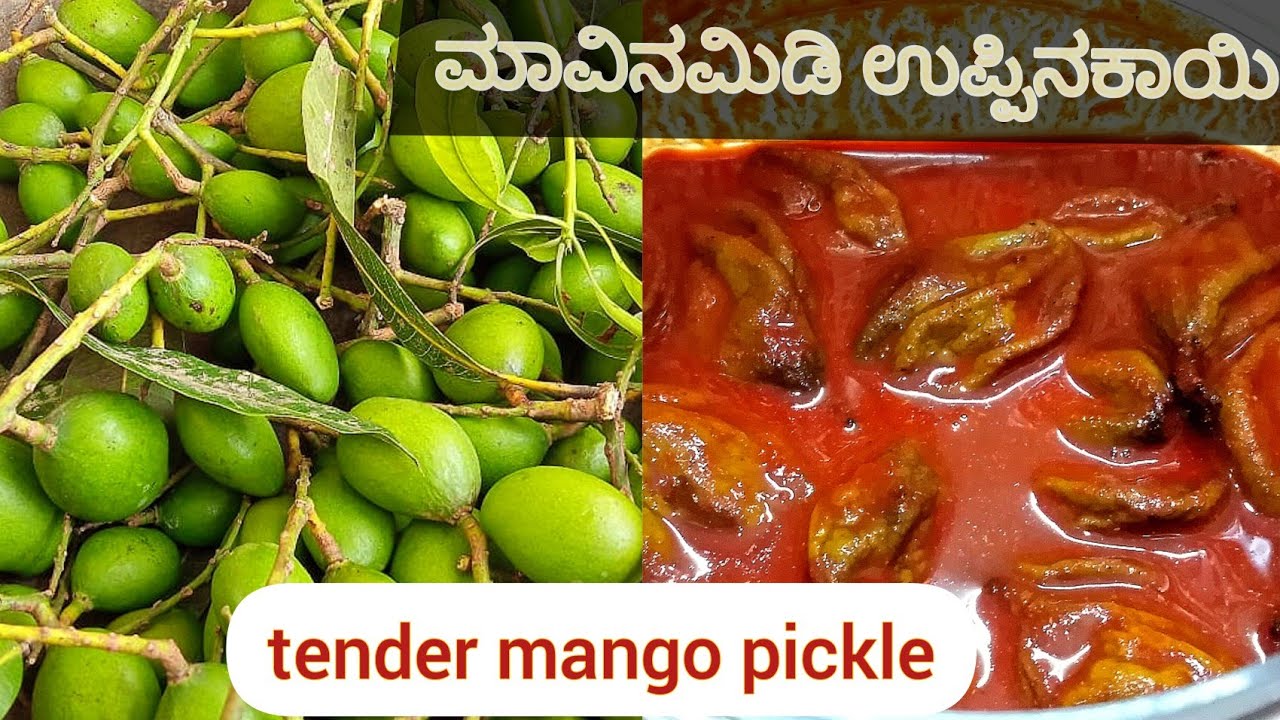 ಮಾವಿನಮಿಡಿ ಉಪ್ಪಿನಕಾಯಿ | mavina midi uppinakayi in kannada| tender mango pickle havyaka style