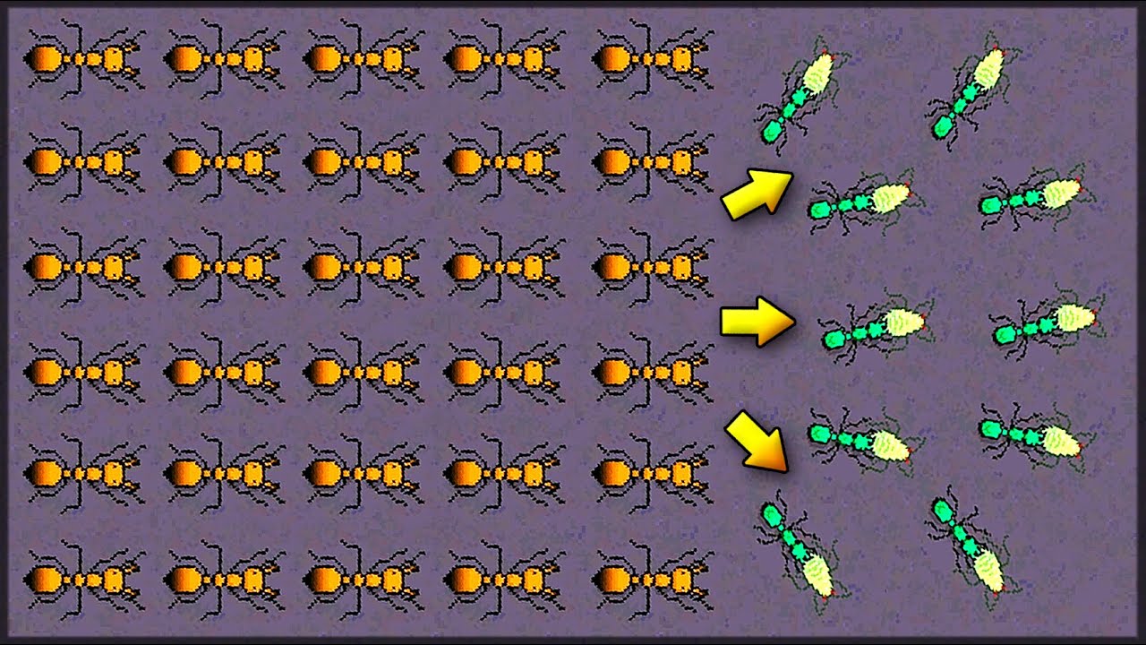 КАК ЗАВОЕВАТЬ ФЕРМУ ТЛИ? КАК ФАРМИТЬ НЕКТАР? Pocket Ants Симулятор Колонии