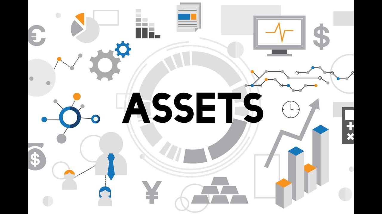 PRODUCTIVE ASSETS, WEALTH ASSETS