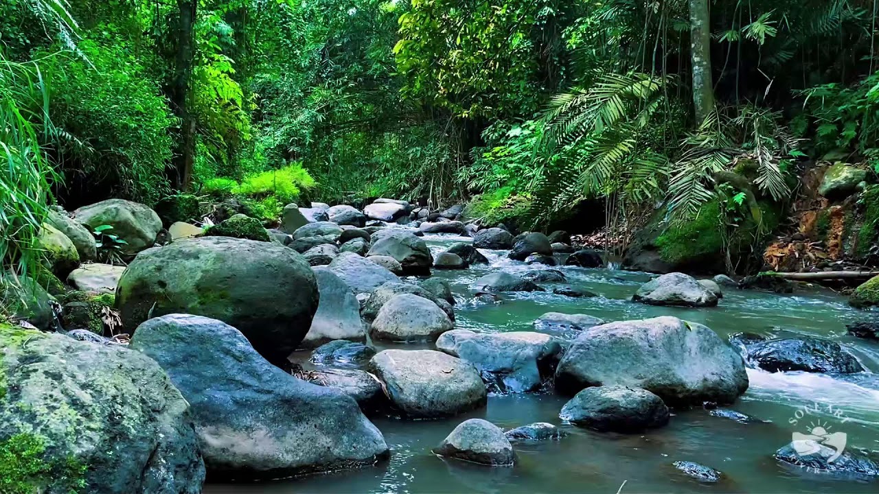 River Sounds for Sleeping All Night Long | Soft Natural Flowing Water Ambience