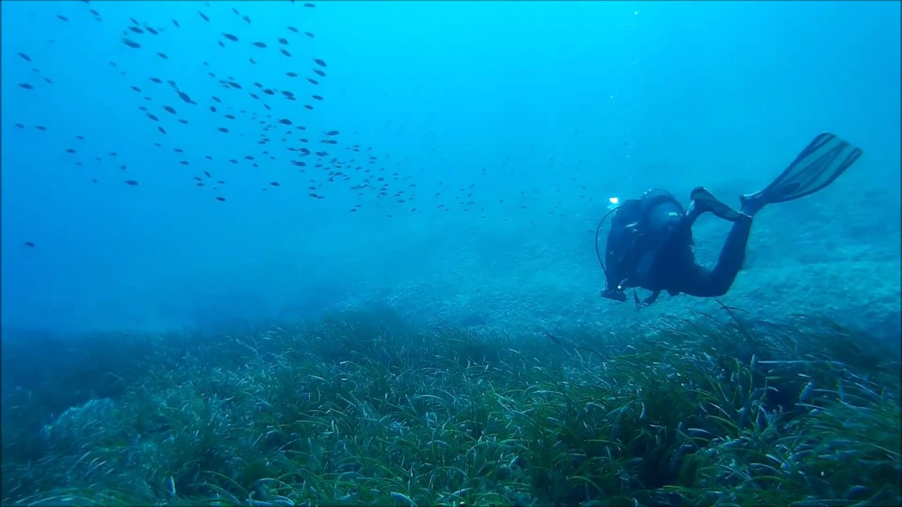 Scuba Diving in Vela Luka, Korcula Island, Croatia, Divesite: 