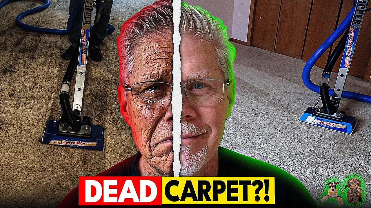 This 41-Year-Old Carpet Was DEAD… Until I Cleaned It!
