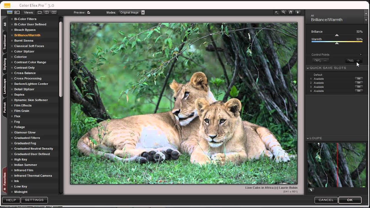 Using control points in NIK Color Efex Pro 3.0