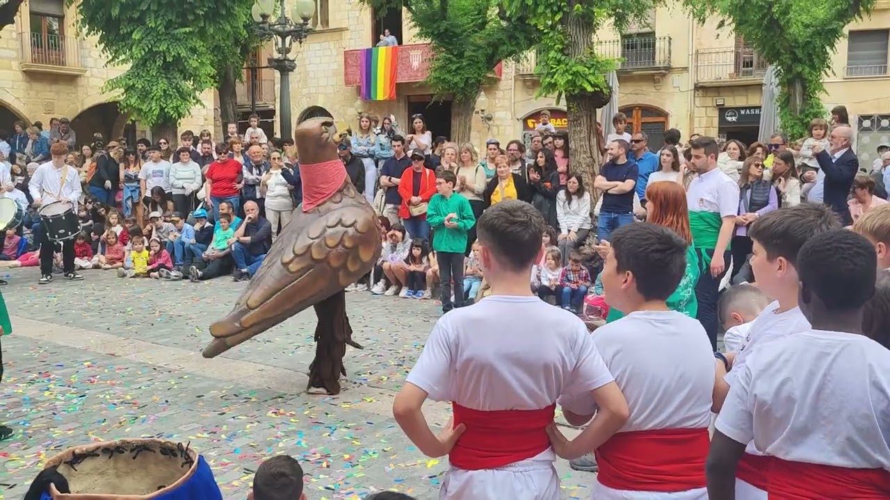 Festes de Sant Maties -Montblanc 18 05 de 2024+6